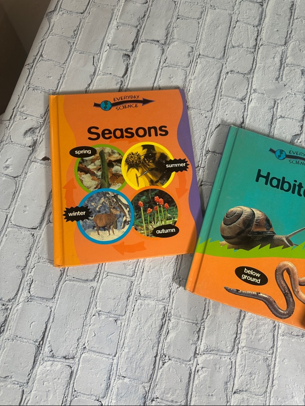 Everyday Science Series: by Peter Riley Science books for kids age 4-8 -7 Books - Picture 5 of 15